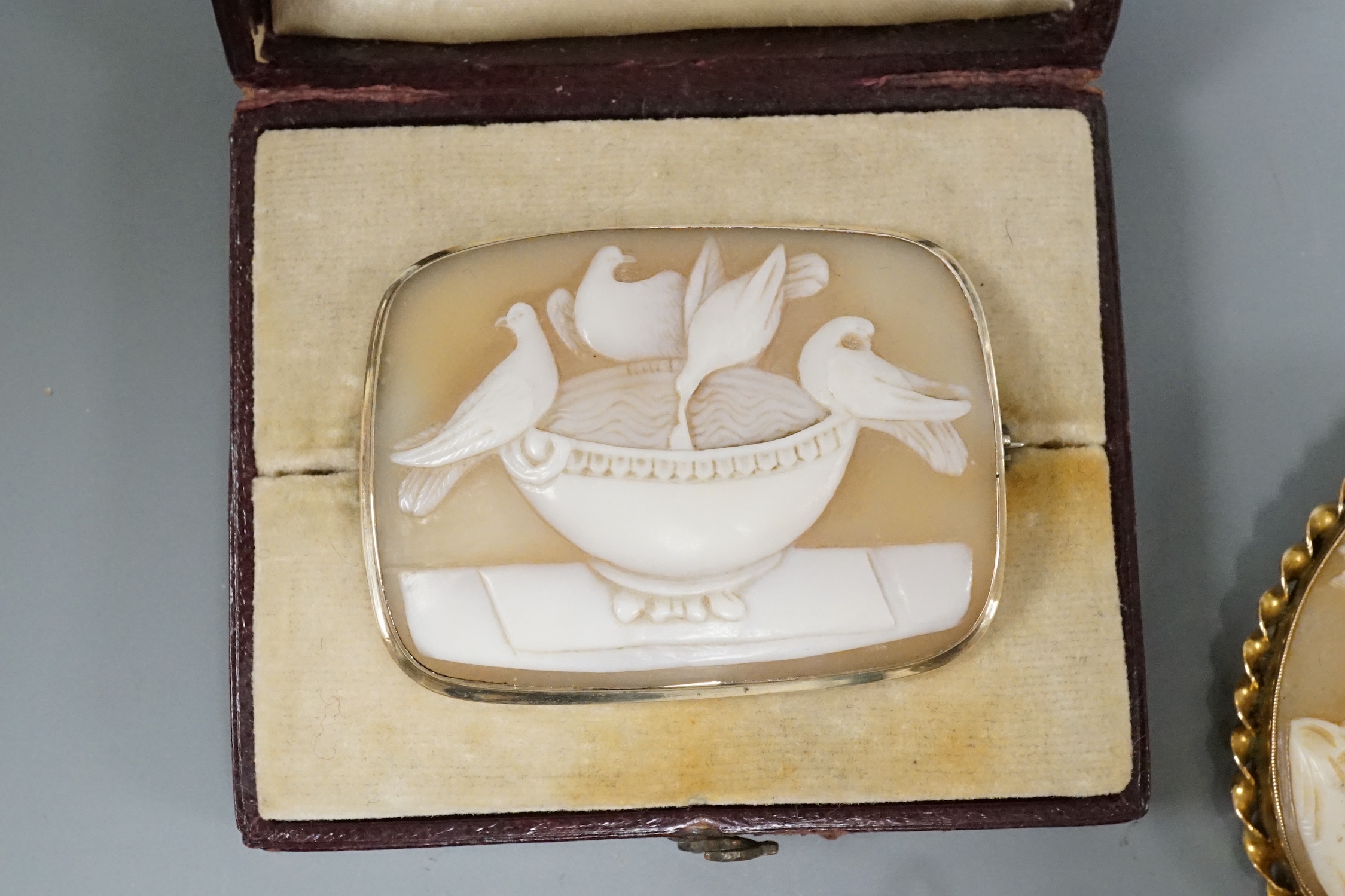 An early 20th century 9ct mounted oval cameo shell brooch, 57mm and two other cameo shell brooches including maiden and pliny doves.